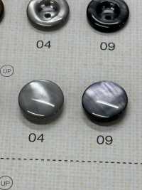 FM304 DAIYA BUTTONS纽扣聚酯纤维仿贝壳 Osaka Plastic Industries（DAIYA BUTTON） 更多图片