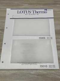 IS010 Lotus Thermo（IS010 125cm宽）[衬布] 岩崎产业 更多图片