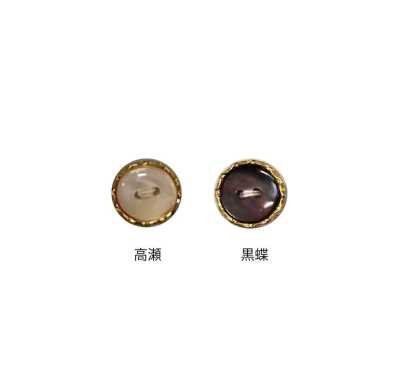 KS1G 两眼 带边 贝壳纽扣 金色