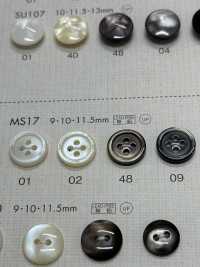 MS17 DAIYA BUTTONS纽扣聚酯纤维仿贝壳 Osaka Plastic Industries（DAIYA BUTTON） 更多图片