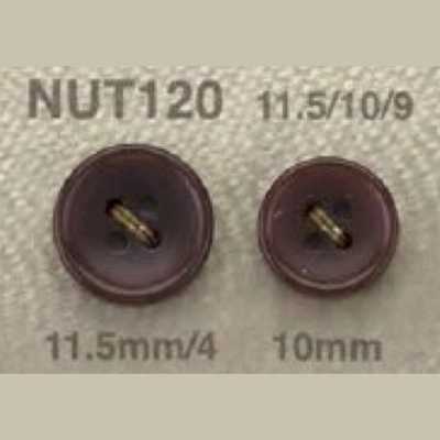NUT120 象牙果制 表面四孔纽扣