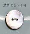 OBB2H 2孔，无边框，贝壳纽扣