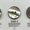 SAB2 天然材料 贝壳制 两孔有光泽纽扣