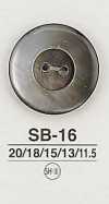 SB16 贝壳纽扣
