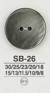 SB26 贝壳纽扣