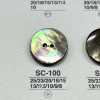 SC100 天然材料贝壳2 孔光面纽扣