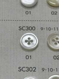 SC300 DAIYA BUTTONS纽扣聚酯纤维仿贝壳 Osaka Plastic Industries（DAIYA BUTTON） 更多图片