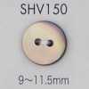 SHV150 两孔贝壳纽扣