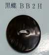 BB2H 2孔无边贝壳纽扣