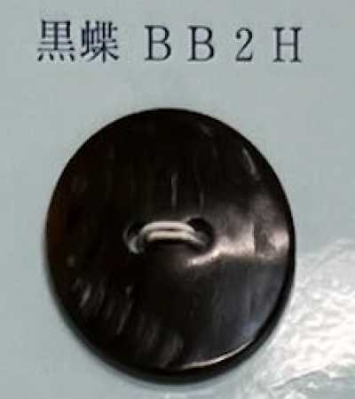 BB2H 2孔 无边 黑蝶贝壳纽扣