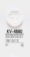 KV4880 染色用衬衫纽扣