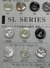 TW8 DAIYA BUTTONS纽扣聚酯纤维仿贝壳 大阪纽扣（DAIYA BUTTON） 更多图片