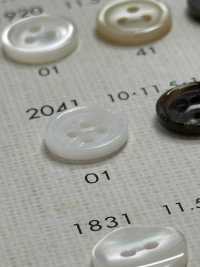 2041 DAIYA BUTTONS仿贝壳聚酯纤维纽扣 Osaka Plastic Industries（DAIYA BUTTON） 更多图片