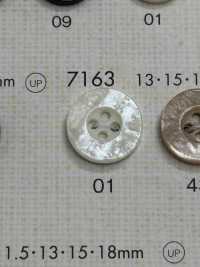 7163 DAIYA BUTTONS仿贝壳聚酯纤维纽扣 Osaka Plastic Industries（DAIYA BUTTON） 更多图片