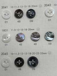 1831 DAIYA BUTTONS纽扣聚酯纤维仿贝壳 Osaka Plastic Industries（DAIYA BUTTON） 更多图片
