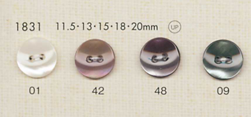 1831 DAIYA BUTTONS 仿贝壳聚酯纤维纽扣