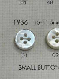 1956 DAIYA BUTTONS仿贝壳聚酯纤维纽扣 Osaka Plastic Industries（DAIYA BUTTON） 更多图片