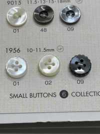 1956 DAIYA BUTTONS仿贝壳聚酯纤维纽扣 Osaka Plastic Industries（DAIYA BUTTON） 更多图片