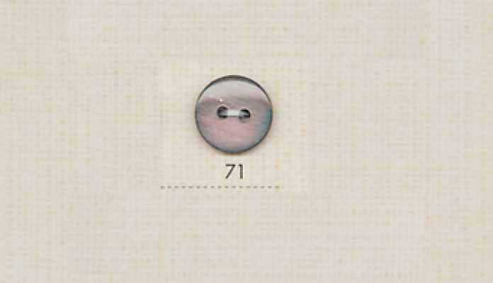 71 DAIYA BUTTONS 两孔黑蝶贝仿贝壳聚酯纽扣