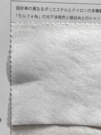 MFW 形态白色欧根纱[面料] Suncorona Oda 更多图片