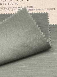 BD6101 麻浅缎背[面料] Cosmo Textile 更多图片