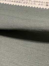 BD6101 麻浅缎背[面料] Cosmo Textile 更多图片