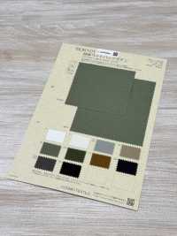 BD6101 麻浅缎背[面料] Cosmo Textile 更多图片