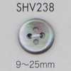 SHV238 四孔贝壳纽扣