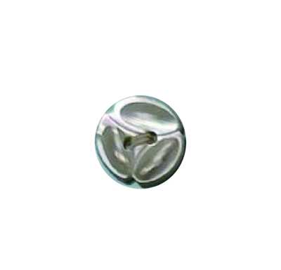 200 两眼纽扣 高濑贝