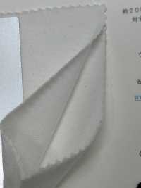 KRZ-2 30/-CLEANSE&# 天竺平针织物 ;[面料] Fujisaki Textile 藤崎 更多图片