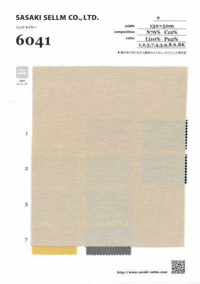 6041 里科纳迈亚