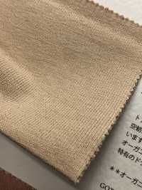 FJ220140 19/- 土耳其有机 BD天竺平针织物[面料] Fujisaki Textile 更多图片