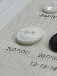 2077 带 2 孔边框的纽扣 Osaka Plastic Industries（DAIYA BUTTON） 更多图片