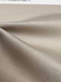 13256 80支线棉/Tencel(TM)莱赛尔纤维原缎纹[面料] SUNWELL 更多图片