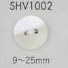 SHV1002 两孔贝壳纽扣