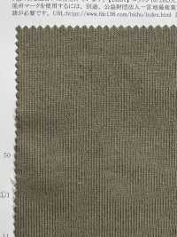 11664 16/ 天竺平针织物棉布[面料] SUNWELL 更多图片