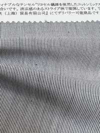 35028 色织棉/Tencel(TM) 莱赛尔纤维条纹[面料] SUNWELL 更多图片