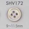 SHV172 四孔 有边贝壳纽扣