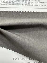 BD6939 60/1 苏比马棉 x 尼龙高密度平织自然流淌防泼水整理[面料] Cosmo Textile 日本 更多图片