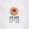 OW5600 木、合板制 正面两孔纽扣
