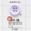 XV58 聚酯树脂制 正面四孔纽扣