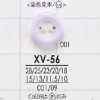XV56 聚酯树脂制 正面双孔纽扣