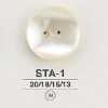 STA1 贝壳类制正面双孔纽扣