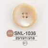 SNL1036 高濑贝壳制 表面四孔纽扣
