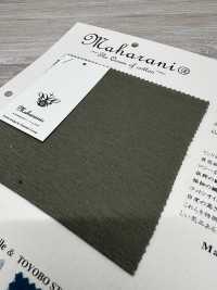 FJ200110 120/2 Silo Maharani® 优雅针织罗纹[面料] Fujisaki Textile 更多图片