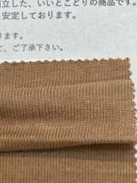 FJ230200 极其成熟的棉质天竺平针织物[面料] Fujisaki Textile 藤崎 更多图片