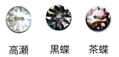 156 两孔 纽扣 高濑贝