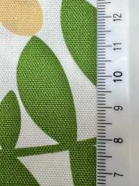 W8083 SEVENBERRY®牛津宽幅螺旋花[面料] VANCET奔时代 更多图片