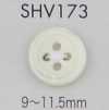 SHV173 四孔带边贝壳纽扣