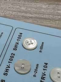 SHV1004 4贝壳纽扣 Osaka Plastic Industries（DAIYA BUTTON） 更多图片